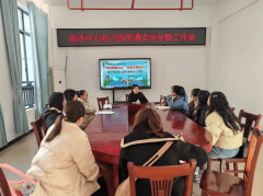 建牢交通平安防地 护航长儿健康成长 ——新宁县